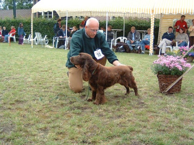 june2004 holland 050